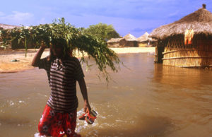 Mozambique to process veggies to counter climate change