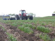 Double harvest through inoculants technology