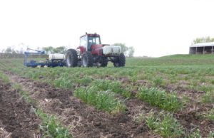 Double harvest through inoculants technology