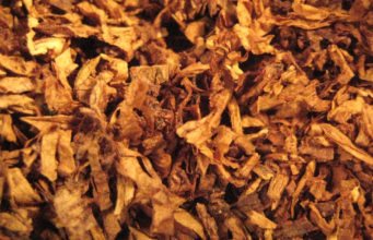 Tobacco market closes in Malawi as firm busts contract leaf fraudsters