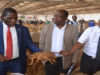 STAM accords Mwanamveka for his works