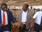STAM accords Mwanamveka for his works