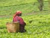 SADC member states must develop the agriculture sector
