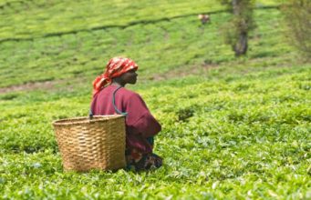 SADC member states must develop the agriculture sector