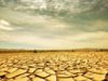 Farmer from Malawi brings global climate crisis closer to home than Madrid