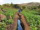 Agriculture holds the key to Malawi’s economy growth