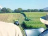 Digital technologies enabler of agribusiness as Africa battle COVID-19
