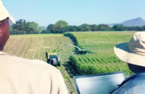 Digital technologies enabler of agribusiness as Africa battle COVID-19