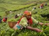 WADO to empower over 15, 000 Women in Ntchisi