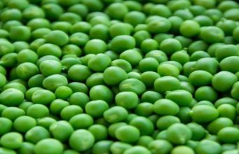African Emergency Food Production Facility to increase food production in Malawi