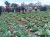 Malawi needs Zimbabwe in its orientation towards transformative agriculture: Minister