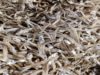 Malawi takes a hardens its resolve against illegal fishing