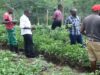New technology in agriculture needed to attract youth