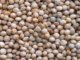 Scaling up crop insurance can enhance capacity to anticipate and withstand shocks-Minister Lowe