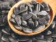 More companies joining CAT to achieve agricultural transformation under MW2063 vision
