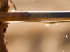 Johan Visser joins Agrico to focus on drip and micro-irrigation
