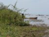 Lake Malombe’s fish species disappearing, its ecosystem being damaged