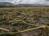 Tropical Cyclone Ana: WFP ready to provide food and logistics support for rescue and relief operations