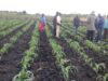 Malawi youth trained in climate-resilient agriculture practices