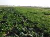 U.S. commits to helping Africa’s micro, small, and medium-sized enterprises