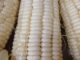 Growing concern over Malawi’s overall food security, as maize yields decrease by 18%