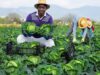 Kvuno empowers farmers with Z’wardy points redemption programme