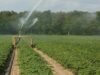 Water: The Lifeblood of Profitable Farming