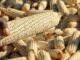 Malawi’s Food Security Crisis: Calls Grow for Massive Increase in Maize Purchase Budget