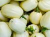 South-South cooperation: crucial for transforming agriculture
