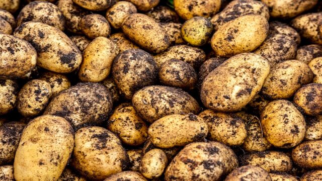 Chinese Farming Technology Pitched as Solution to Malawi’s Food Insecurity