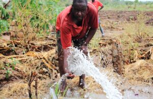 Cyclone-Ravaged Malawi Finds Hope in an Unlikely Partner: AI