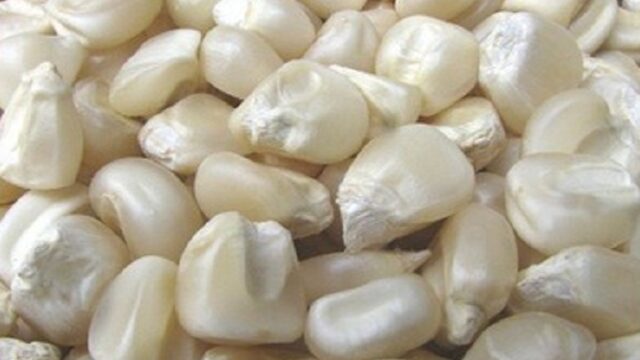 Malawi Maize Prices Skyrocket, Fueling Inflationary Fears