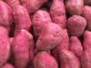 Malawi Eyes Value Addition to Drain Sweet Potato Glut