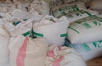 Malawi on track to bridge maize deficit: 51,000 Metric tons hauled from Zambia