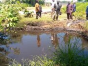 Regulatory Crackdown: Malawi Suspends Coal Operations Amid Environmental Fallout
