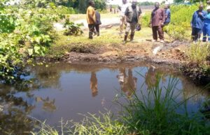 Regulatory Crackdown: Malawi Suspends Coal Operations Amid Environmental Fallout
