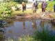 Regulatory Crackdown: Malawi Suspends Coal Operations Amid Environmental Fallout