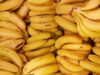 UN Taps Agribusiness Specialists to Boost Malawi Farm Value Chains
