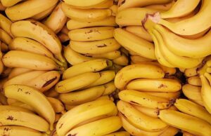 UN Taps Agribusiness Specialists to Boost Malawi Farm Value Chains