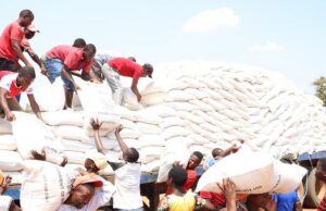 Funding Bottlenecks Threaten Malawi’s Local Government Services