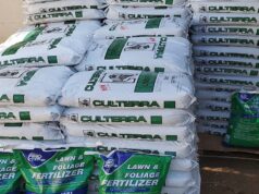 Malawi Reverts to Paper Vouchers for Fertilizer Subsidies, Raising Corruption Concerns
