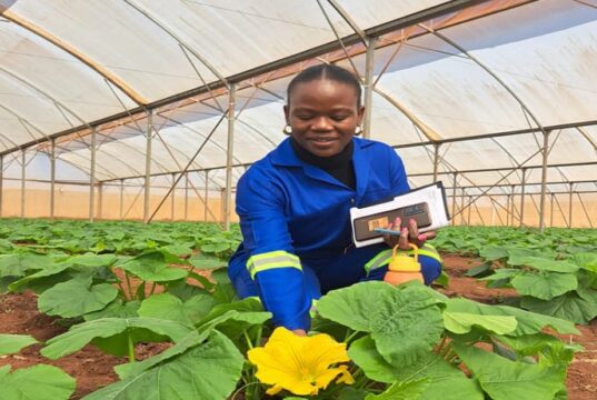 Malawi’s Largest Greenhouse Venture Scales Up Production to Drive Agriculture Exports