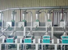 What African Buyers Should Ask a China Reliable Maize Mill Machine Supplier Like Burt Machinery
