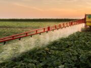 African Exporters Face New EU Pesticide Compliance Risk