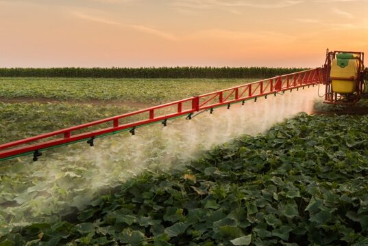 African Exporters Face New EU Pesticide Compliance Risk