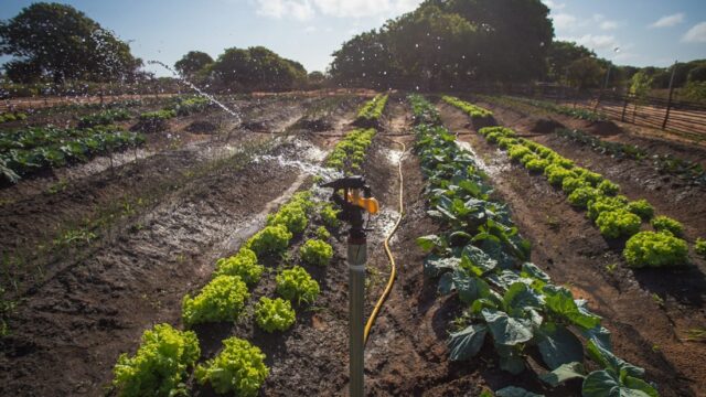 Malawi Unlocks $8.6 Million for Smallholder Agriculture