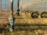 Malawi’s Strategy to Defy the 2026/27 El Niño