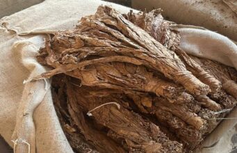 Rare Earths Surge Could Transform Malawi’s Agricultural Heartland
