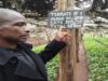 Farmer Led Tea Seedlings Production