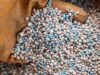 Malawi Facing 300,000-Tonne Supply Deficit as Input Prices Surge Ahead of Planting Season